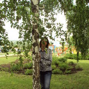 ,   , 56 ,   ,   , c 