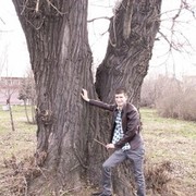  ,   , 33 ,     , c 