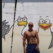 ���������� ������������, ���� ������� �������, 32 ����, ������������ ��� ������, ����� � ���������, c�������� ���������, ���������