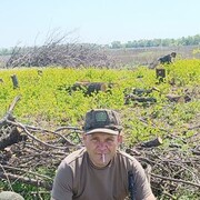  --,   , 46 ,   ,   