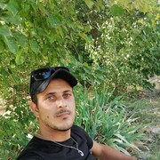  ,   , 31 ,  