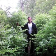  ,   , 54 ,   ,   