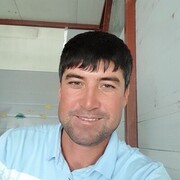 ���������� ������, ���� ������� ALISHER, 33 ����, ������������ ��� ������, ����� � ���������