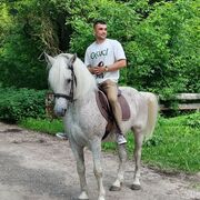 ���������� ��������, ���� ������� ����, 29 ���, ������������ ��� ������, ����� � ���������, c�������� ���������