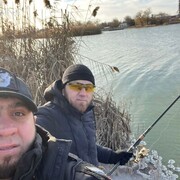 ���������� �����������, ���� ������� �������, 36 ���, ������������ ��� ������, ����� � ���������