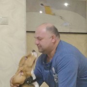   ,   , 50 ,   