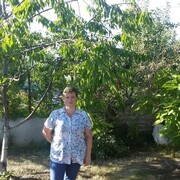  ,   , 46 ,   