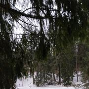  ,   , 34 ,     , c 