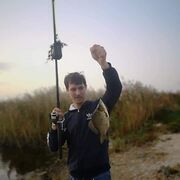 ���������� ����, ���� ������� �����, 38 ���, ������������ ��� ������, ����� � ���������, c�������� ���������