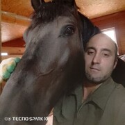 ���������� ������, ���� ������� ������, 55 ���, ������������ ��� ������, ����� � ���������, c�������� ���������, ���������