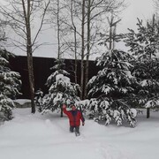 ���������� ���������, ���� ������� �������, 43 ����, ������������ ��� ������, ����� � ���������, c�������� ���������, ���������