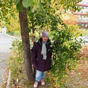 ���������� ������ ��������, ���� ������� ����, 67 ���, ������������ ��� ������, ����� � ���������