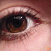 ���������� ������, ���� ������� ���659534880, 37 ���, ������������ ��� ������