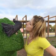 ���������� �������, ���� ������� �������, 42 ����, ������������ ��� ������, ����� � ���������, c�������� ���������