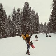 ���������� ���������, ���� ������� ������, 31 ���, ������������ ��� ������, ����� � ���������, c�������� ���������