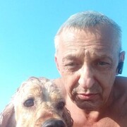 ���������� ���������, ���� ������� �����, 56 ���, ������������ ��� ����� � ���������, c�������� ���������