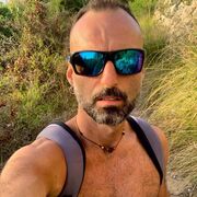 -,   , 41 ,  