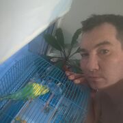 ���������� �����������-��-�����, ���� ������� �����, 36 ���, ������������ ��� ������, ����� � ���������