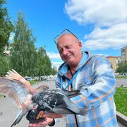 ���������� ����, ���� ������� �������, 48 ���, ������������ ��� ������, ����� � ���������, c�������� ���������, ���������