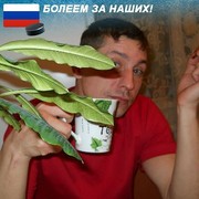  -,   , 53 ,   ,   , c 