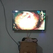   ,  , 23