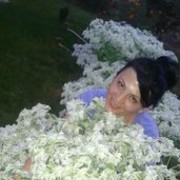  ,   Galconok, 36 ,   