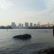 ���������� ������, ���� ������� Timson, 36 ���, ������������ ��� ������, ����� � ���������