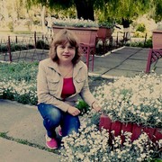  ,   , 50 ,   ,   , c 