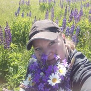 ���������� �����, ���� ������� �����, 41 ���, ������������ ��� ����� � ���������, c�������� ���������