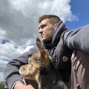 ���������� �����, ���� ������� ����, 29 ���, ������������ ��� ������, ����� � ���������, c�������� ���������