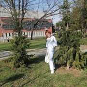   ,   , 55 ,   c 