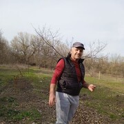  ,   , 55 ,   ,   