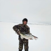 ���������� �������, ���� ������� ������, 43 ����, ������������ ��� ������, ����� � ���������