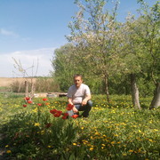  ,   , 60 ,   ,   , c 