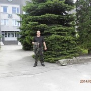  -,   , 53 ,   ,   , c 