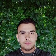  ,  Sardor, 36