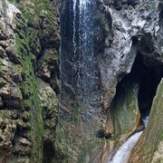 ���������� ������, ���� ������� ������, 44 ����, ������������ ��� ����� � ���������, c�������� ���������