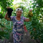 ���������� ����, ���� ������� ������, 71 ���, ������������ ��� ������, ����� � ���������, c�������� ���������