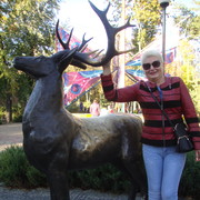 ���������� ��������, ���� ������� ��������, 65 ���, ������������ 