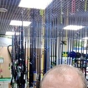 ���������� ���������, ���� ������� ��������, 43 ����, ������������ ��� ������, ����� � ���������