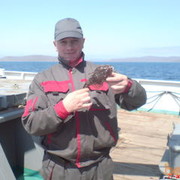 ���������� �����������, ���� ������� ��������, 59 ���, ������������ ��� ������, ����� � ���������, c�������� ���������