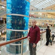 ���������� ������, ���� ������� ���������, 44 ����, ������������ ��� ������, ����� � ���������, c�������� ���������