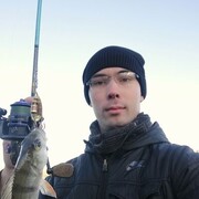 ���������� ������, ���� ������� �������, 36 ���, ������������ ��� ������, ����� � ���������