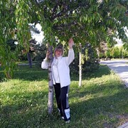  ,   , 50 ,   ,   