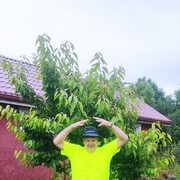  ,   , 60 ,   ,   
