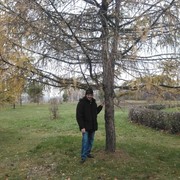 ,   , 50 ,     , c 