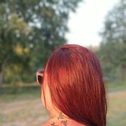  -,   , 38 ,   ,   