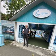 ���������� ����, ���� ������� Zamiq, 44 ����, ������������ ��� ������, ����� � ���������