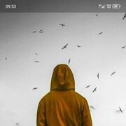  ,   , 31 ,     , c 