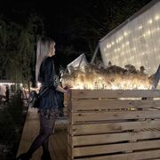 ���������� �������, ���� ������� ����, 35 ���, ������������ ��� ����� � ���������, c�������� ���������